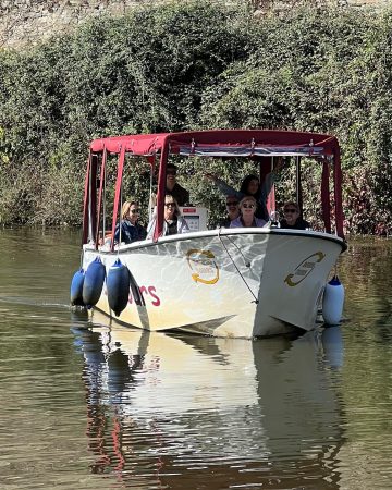 River & Wine Experience
