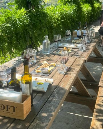 Full-Day Wine Tour