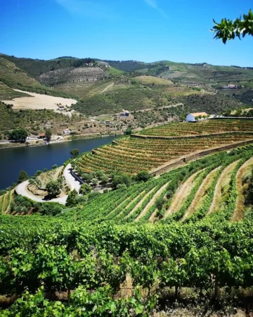 Custom Douro Experience